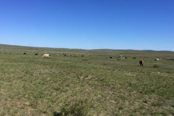 Фотография к новости: Қарағанды облысында жерді қайтару жоспары артығымен орындалды