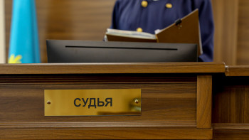 Фотография к новости: Абай облысында балабақшаға 9 млн теңге шығын келтірген әйел жауапқа тартылды