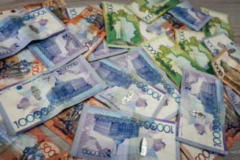 Фотография к новости: Жетісуда көпбалалы аналардың жарналары берілмеген