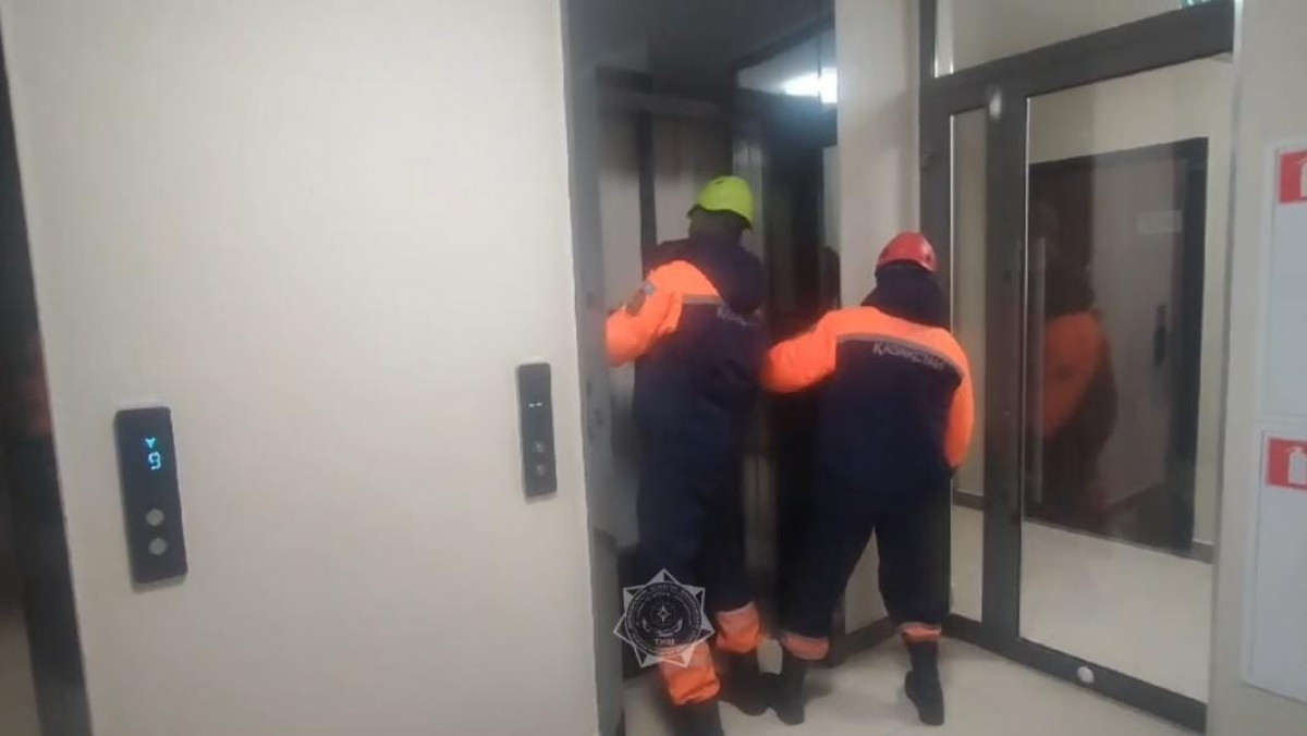  видеодан кадр