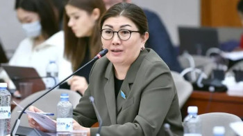 Фотография к новости: Депутат қызметкерлеріне қысым көрсеткен басшыны қызметінен босатуды ұсынды