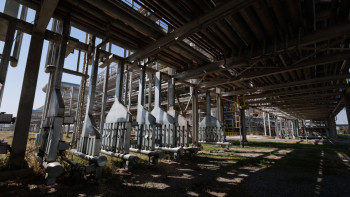 Фотография к новости: Биыл елде 22 кен орны тіркелген