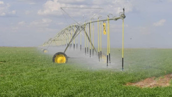 Фотография к новости: Түркістан облысында жаңа зауыт салынады