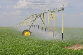 Фотография к новости: Түркістан облысында жаңа зауыт салынады