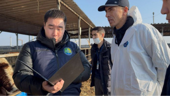 Фотография к новости: Атырауда заңсыз  мал мен ет өнімдерін тасымалдағандарға айыппұл салынды
