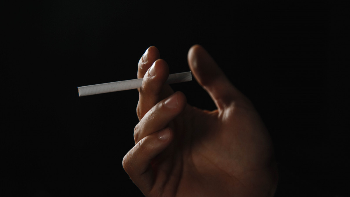  Жалғасбек ТОҚТАМЫСОВ  - Архив