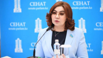 Фотография к новости: "Ресми жұмыс істейтіндері аз". Сенатор заңсыз мигранттардан келетін қауіптерді атады