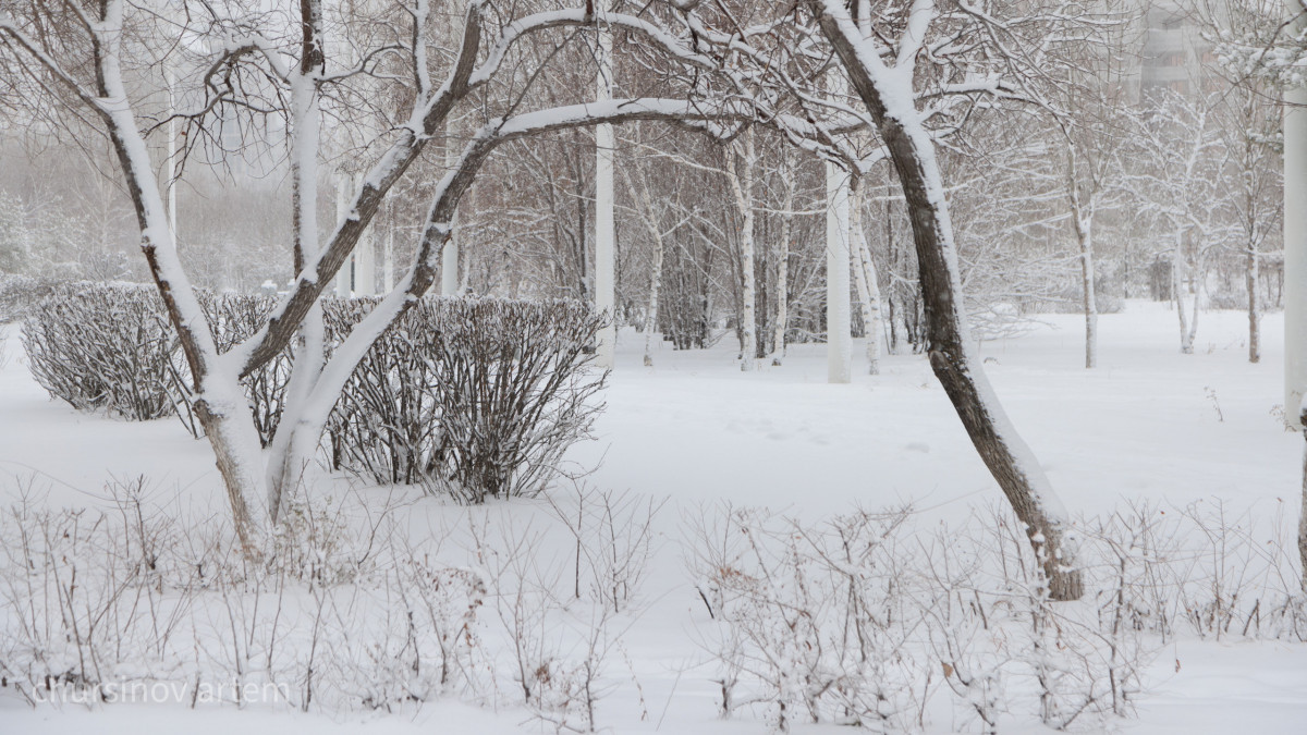  Артём Чурсинов  -архив