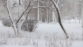 Фотография к новости: Демалыс күндері күн райы қандай болады