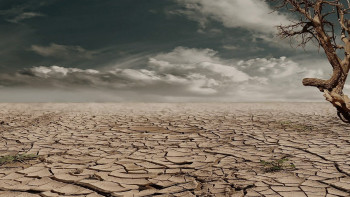 Фотография к новости: Шөл далада жоғалып кеткен турист бір айдан соң аман-есен табылды