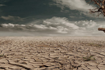 Фотография к новости: Шөл далада жоғалып кеткен турист бір айдан соң аман-есен табылды