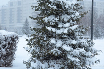 Қар аралас жауын, көктайғақ: демалыста ауа райы қандай болады