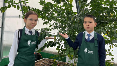 Астаналық оқушылар жылыжайда лимон мен көкөністі өсірді