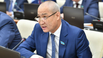 Фотография к новости: Қазақтың жігіттеріне ойланатын уақыт келді – депутат