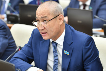 Фотография к новости: Қазақтың жігіттеріне ойланатын уақыт келді – депутат