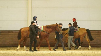 Фотография к новости: Астанада 800-ден астам бала иппотерапиямен оңалтудан өтті