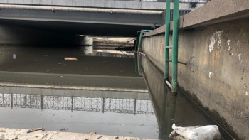 Фотография к новости: Алматыда Үлкен Алматы өзені көріктендіріледі