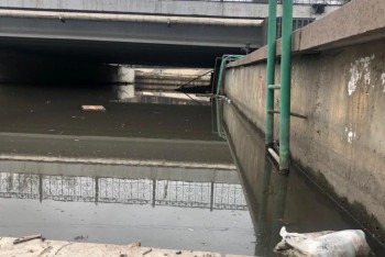 Фотография к новости: Алматыда Үлкен Алматы өзені көріктендіріледі