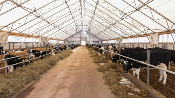 Фотография к новости: Елімізде мал басы артты