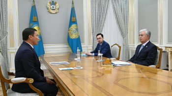 Фотография к новости: Мемлекет басшысы Геннадий Головкинді қабылдады