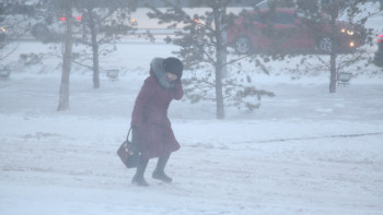 Фотография к новости: Жел екпіні күшейеді: Құтқарушылар елордалықтарға ескерту жасады