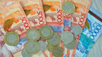 Фотография к новости: Түркістан облысында жоқ инвестицияға 225 млн теңге субсидия алған – Смайылов