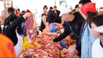 Фотография к новости: Астанада демалыс күндері кезекті соғым FEST өтеді