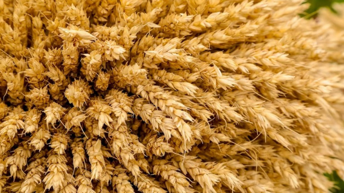  Бауыржан ЖУАСБАЕВ  -архив