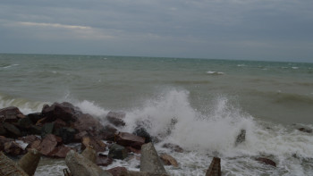 Фотография к новости: Каспий теңізін құтқаруға бағытталған жаһандық қозғалыстың тұсауы кесілді