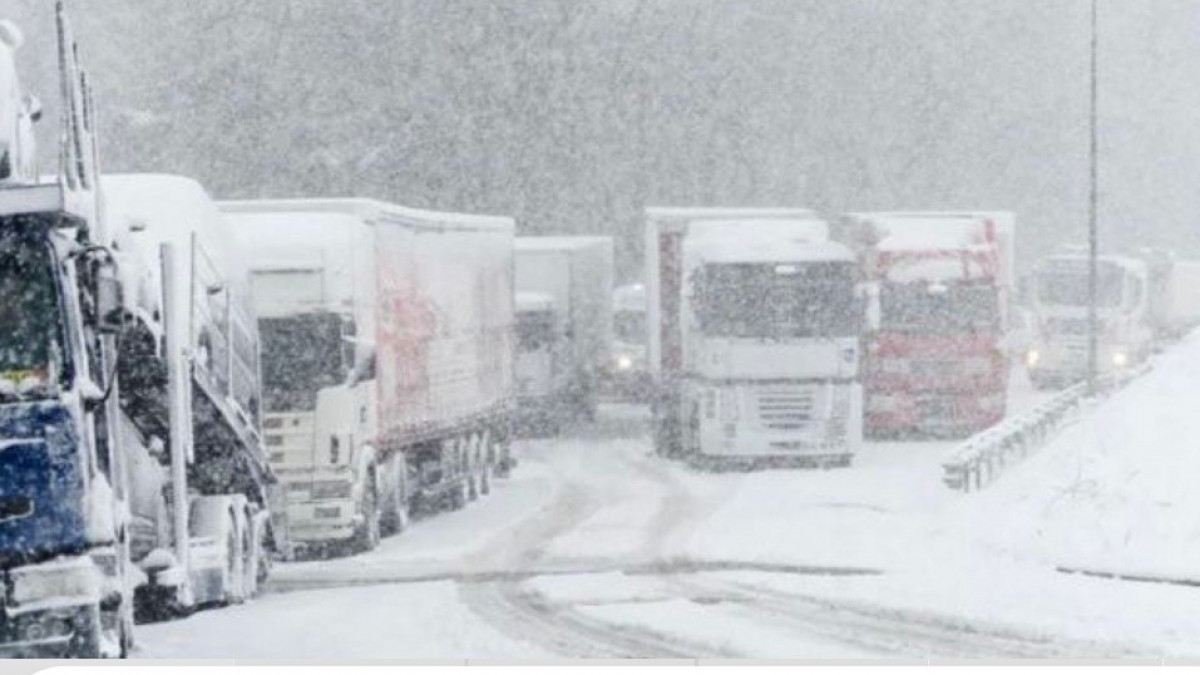  Мемлекеттік кірістер комитеті