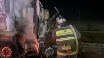 Фотография к новости: Жамбыл облысында жолдың бойында жүк көлігі өртенді