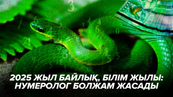 Фотография к новости: 2025 жыл байлық, білім жылы: нумеролог болжам жасады