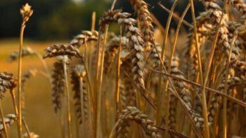 Фотография к новости: Жамбылда жылдың соңына дейін 16 ауқымды жоба іске қосылады