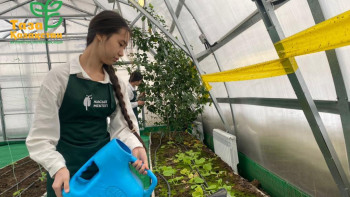 Фотография к новости: Астананың 20 білім ошағындағы жылыжайда жемістер мен көкөністер өсіріледі