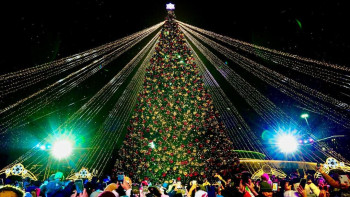 Фотография к новости: Елордада бір мезетте 30-дан астам жаңа жылдық шыршаның шамы жағылды