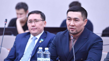 Фотография к новости: "Азаматтарымыз ішіп алып, алдынан шықса, ұят қой". Депутат арақ сатуға тыйым салуды ұсынды