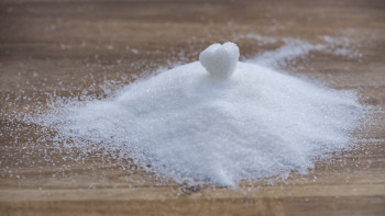 Фотография к новости: Жетісу облысы қант саласын дамытуға көңіл бөледі