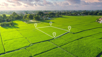 Фотография к новости: 2022 жылдан бастап мемлекетке қанша гектар жер қайтарылды?