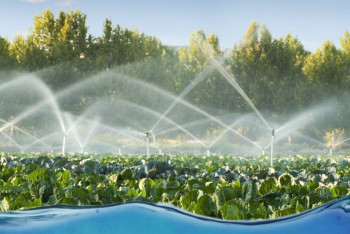 Түркістанда 247 мың гектар жер суармалы сумен қамтылды