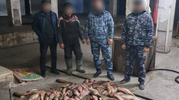 Фотография к новости: Браконьерлерден мың метрден астам тор тәркіленді