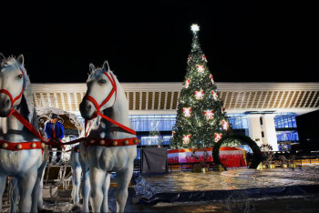 Фотография к новости: Бүгін Алматыда 80 жаңа жылдық шыршаның шамы жағылады