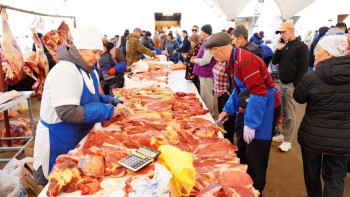 Фотография к новости: Елордада демалыс күндері кезекті соғым FEST өтеді