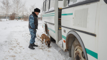 Фотография к новости: Қызметтік иттер есірткі тасымалдаудың 33 фактісін анықтауға көмектесті