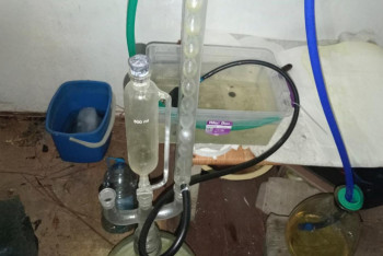 ҰҚК Қостанай облысында ірі есірткі зертханасы анықтады