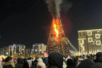 Шымкенттегі бас шырша өртенді