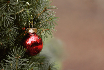 Фотография к новости: Семейде Жаңа жыл шыршасының шамын жағу 25 желтоқсанға ауыстырылды