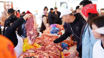 Фотография к новости: Астанада 28-31 желтоқсан күндері мерекелік соғым FEST өтеді