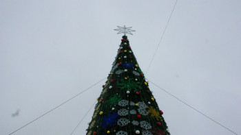 Фотография к новости: Депутаттар шырша сәндеймін деп құлаған мұғалімге өмір бойы өтемақы беруді ұсынды