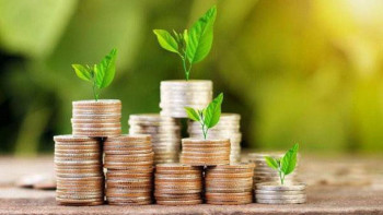 Фотография к новости: Ауыл шаруашылығы тауар өндірушілеріне қарсы міндеттемелер енгізіледі