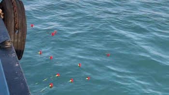 Фотография к новости: Ақтауда Каспий теңізіне ұшақ апатынан қаза тапқандар құрметіне гүл шоқтары жіберілді